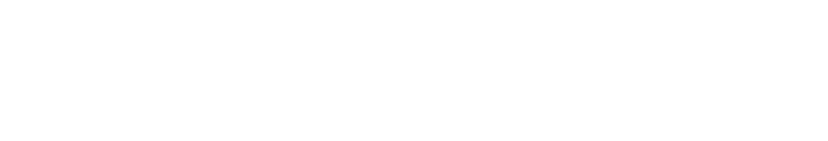 Vega logo with white text